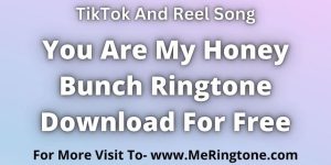 Read more about the article You Are My Honey Bunch Ringtone Download