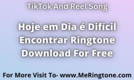 Hoje em Dia é Difícil Encontrar Ringtone Download For Free