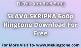 SLAVA SKRIPKA Бобр Ringtone Download For Free